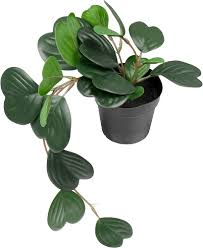 Ikea FEJKA Hängande Peperomia 40 cm