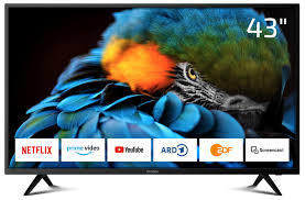 DYON Smart 43 XT 108cm Full-HD Smart TV 2022